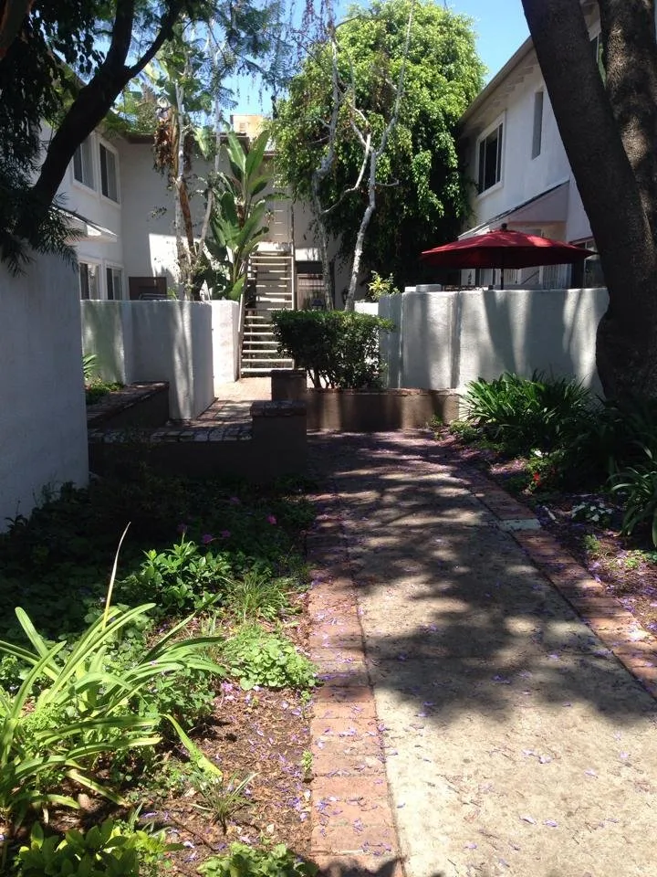 Reliable yard maintenance in Duarte, CA - Luis Casas Tree Service