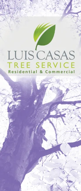 Top-rated landscape installation in Duarte, CA by Luis Casas Tree Service