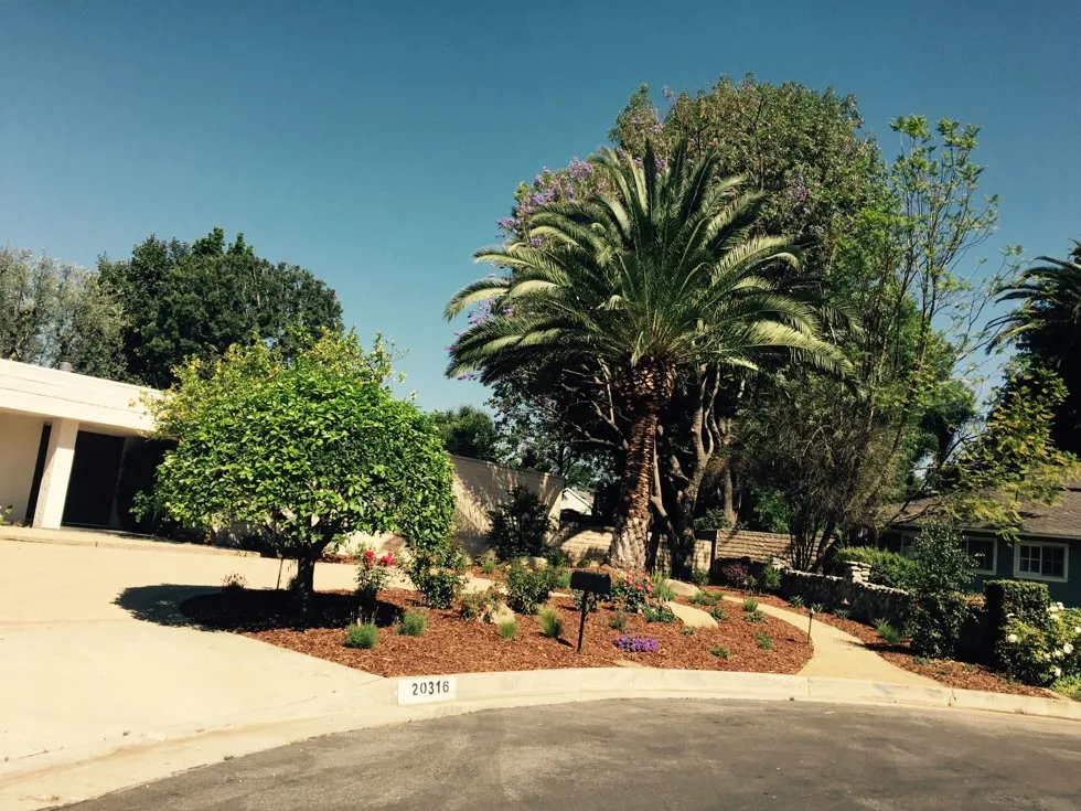 Affordable garden landscaping in Duarte, CA - Luis Casas Tree Service