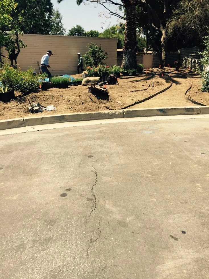 Trusted garden landscaping in Duarte, CA - Luis Casas Tree Service