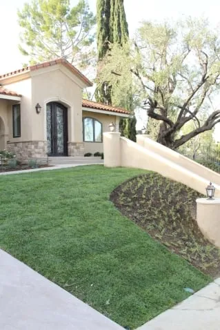 Top-rated yard maintenance in Sylmar, CA by Luis Casas Tree Service