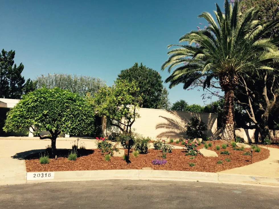 Professional residential landscaping for homes across Sylmar, CA - Luis Casas Tree Service