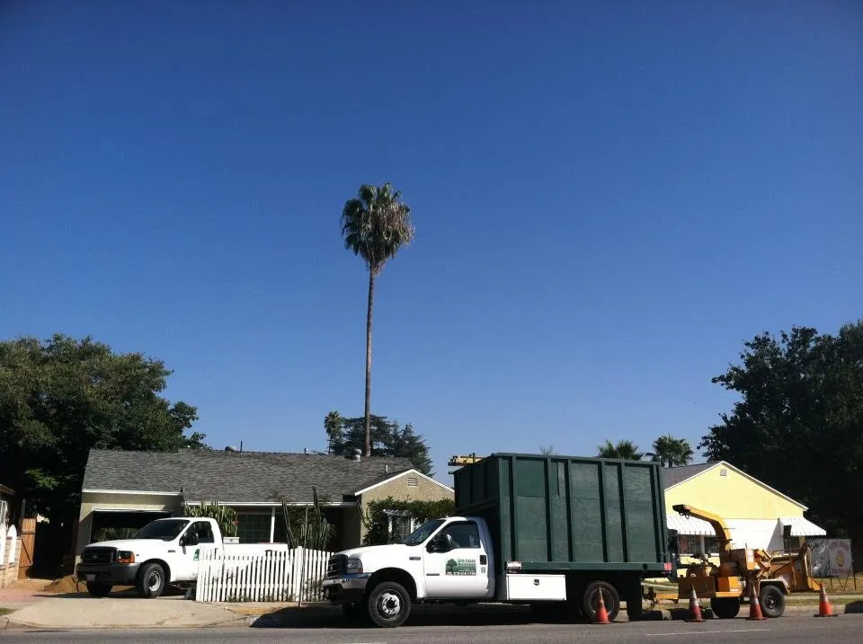 Expert landscape installation near you across Sylmar, CA - Luis Casas Tree Service