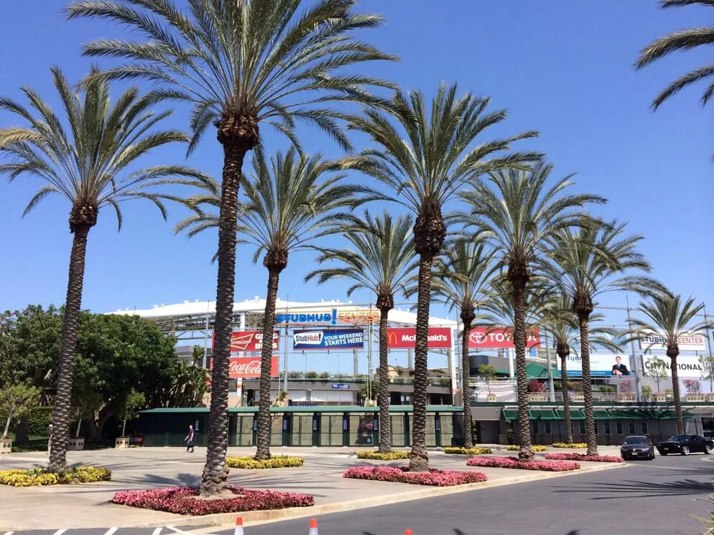 Reliable landscaping services experts serving Sylmar, CA - Luis Casas Tree Service