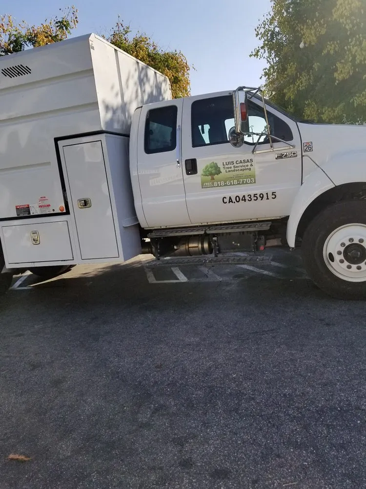 Affordable yard cleanup service for beautiful yards across Sylmar, CA - Luis Casas Tree Service