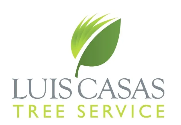Trusted residential landscaping in Sylmar, CA by Luis Casas Tree Service