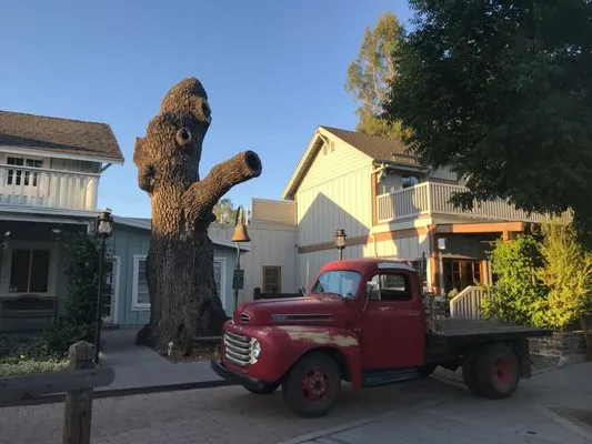 Luis Casas Tree Service Logo