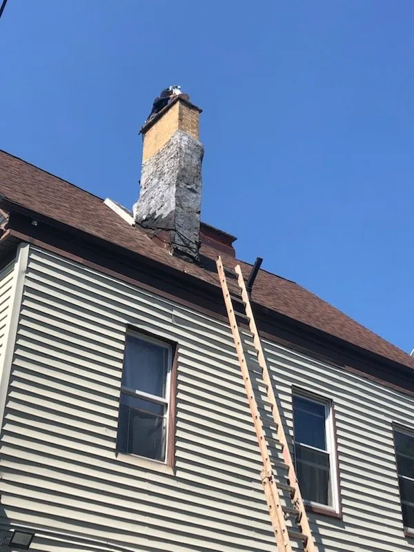 Custom lawn care service in New York, NY - Luis Construction