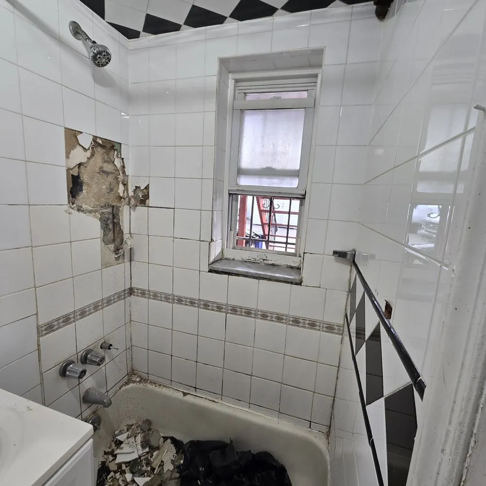 Affordable lawn care service experts serving New York, NY - Luis Construction