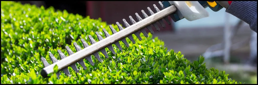 Trusted residential landscaping near you in Croydon, PA by Luis Duran's Landscaping