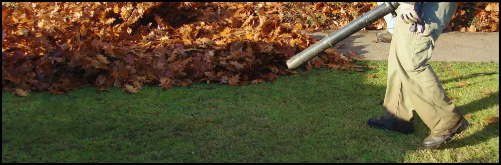 Expert yard maintenance near you in Croydon, PA by Luis Duran's Landscaping