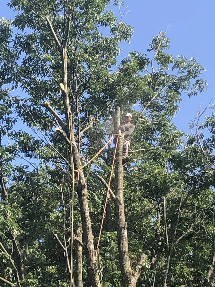 Reliable outdoor landscaping near you in Croydon, PA by Luis Duran's Landscaping