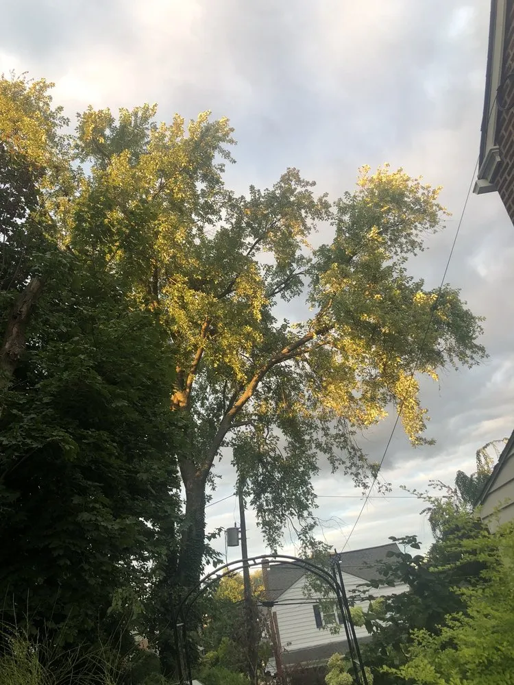 Expert residential landscaping for beautiful yards in Croydon, PA by Luis Duran's Landscaping