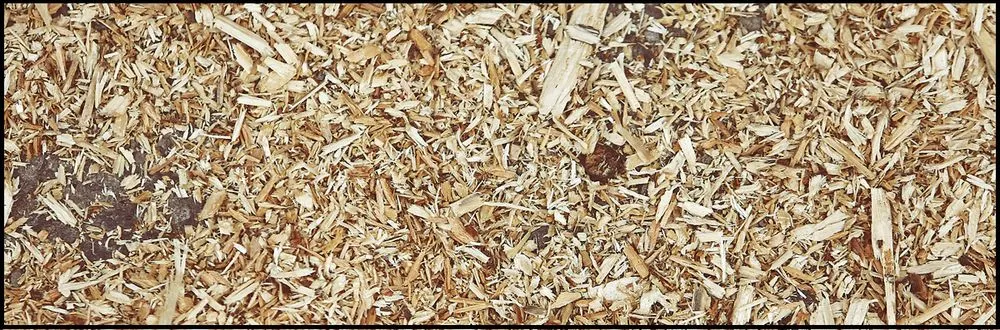 Custom yard maintenance experts serving Croydon, PA - Luis Duran's Landscaping