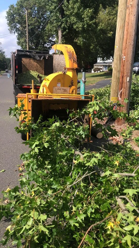 Custom landscaping services with custom design in Croydon, PA by Luis Duran's Landscaping