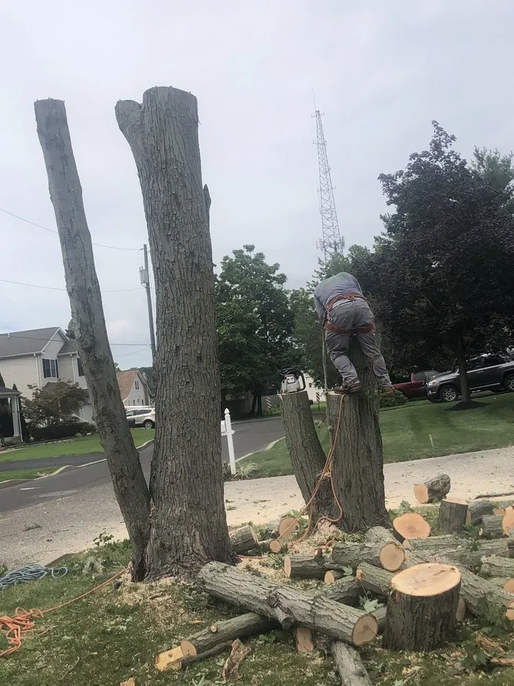 Custom residential landscaping experts serving Croydon, PA - Luis Duran's Landscaping