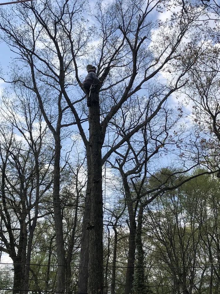 Reliable lawn mowing service in Croydon, PA - Luis Duran's Landscaping