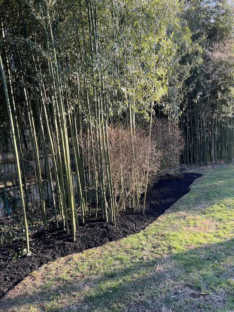 Reliable outdoor landscaping for residential properties across Philadelphia, PA - Luis Finest Lawn Care