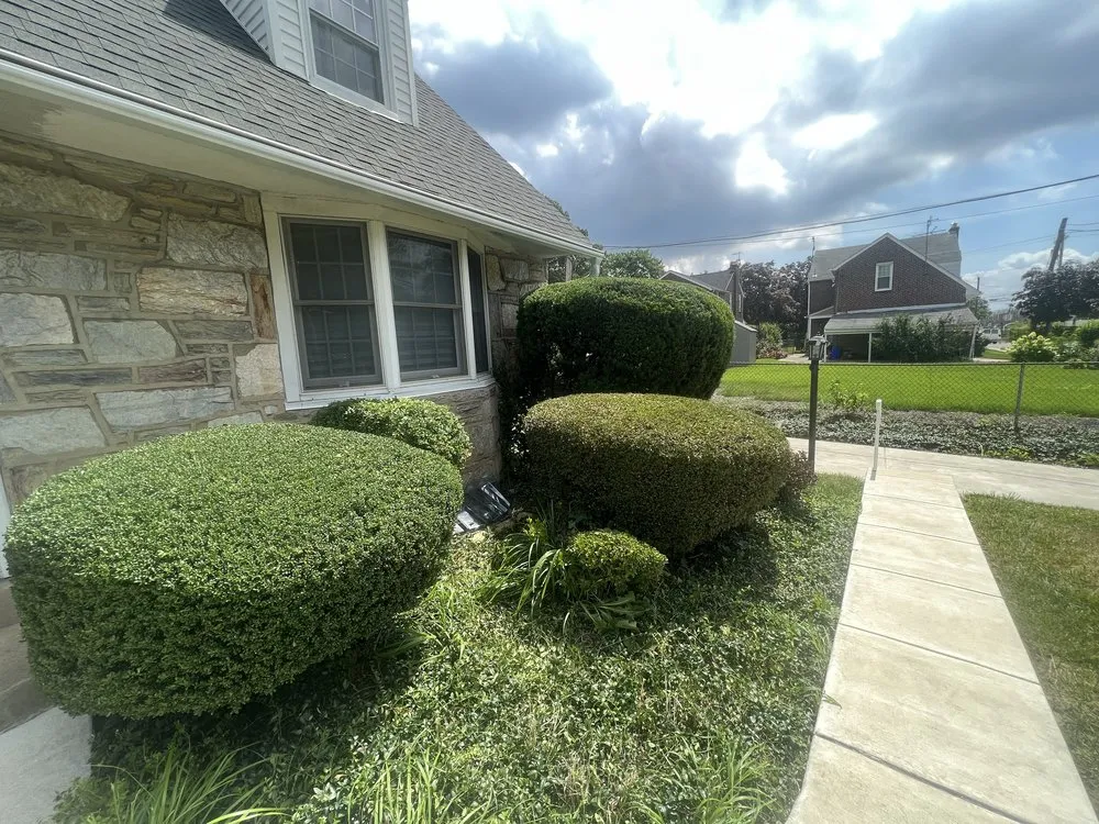 Professional landscape installation in Philadelphia, PA by Luis Finest Lawn Care