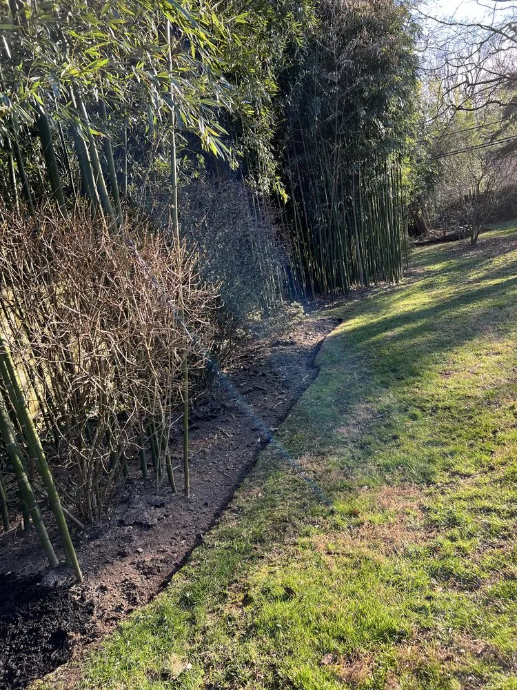 Professional yard cleanup service experts serving Philadelphia, PA - Luis Finest Lawn Care