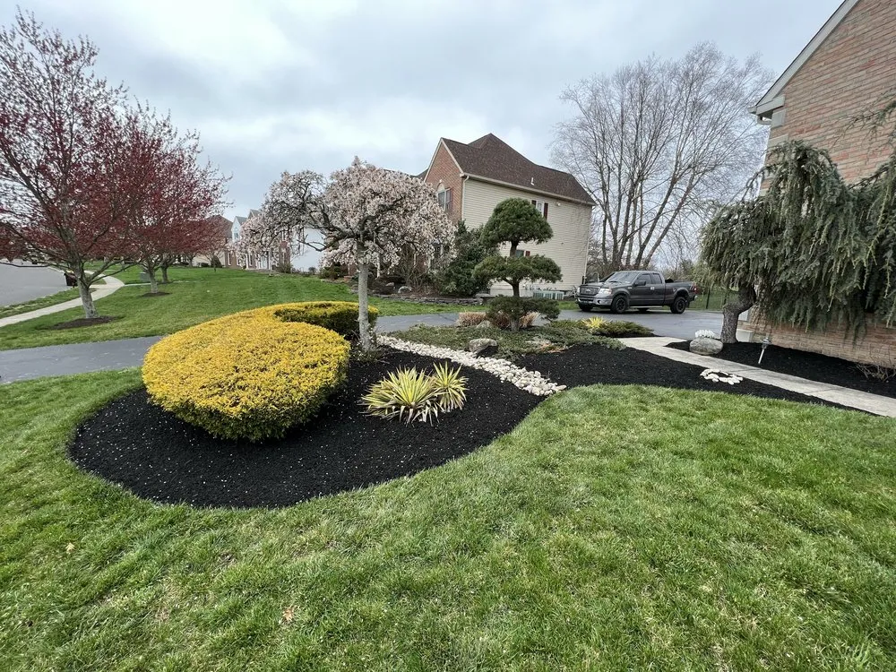 Reliable landscaping services in Philadelphia, PA - Luis Finest Lawn Care