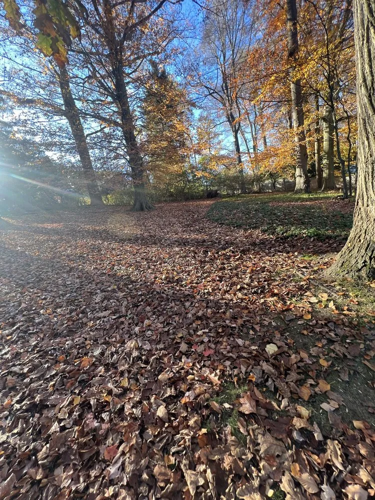 Expert residential landscaping for year-round maintenance in Philadelphia, PA by Luis Finest Lawn Care