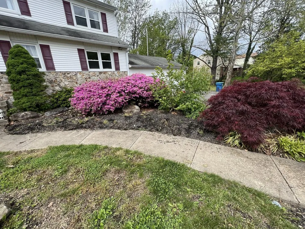 Top-rated yard cleanup service for outdoor upgrades in Philadelphia, PA by Luis Finest Lawn Care