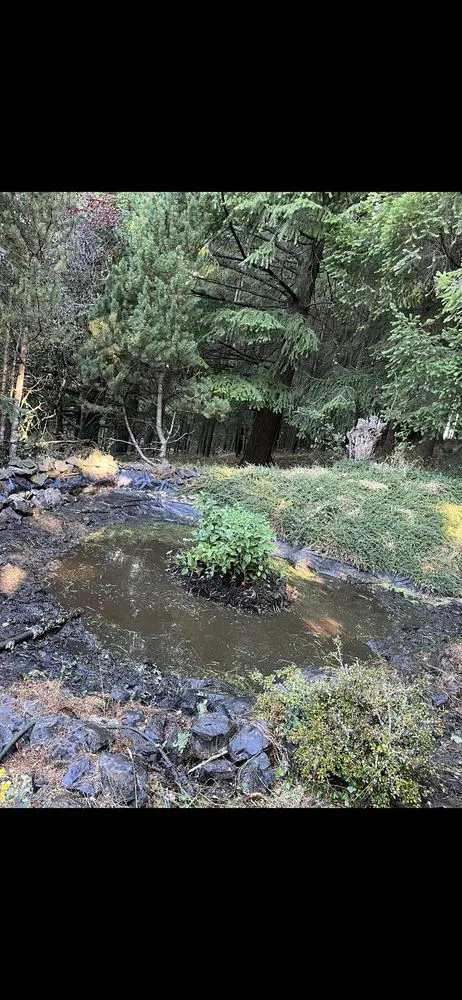 Expert yard maintenance experts serving Beaverton, OR - Luis Flores landscape