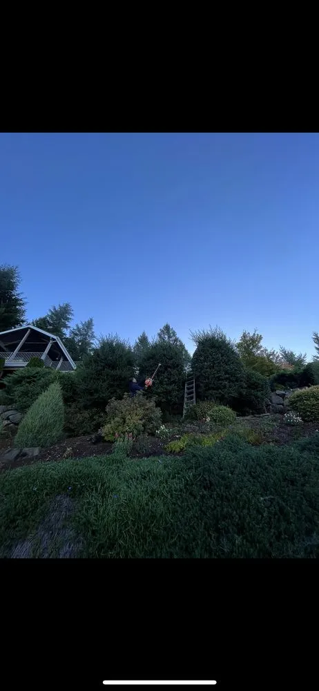 Reliable lawn care service experts serving Beaverton, OR - Luis Flores landscape