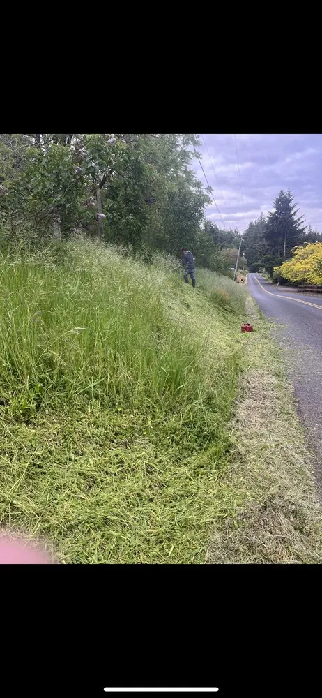 Trusted lawn care service near you across Beaverton, OR - Luis Flores landscape