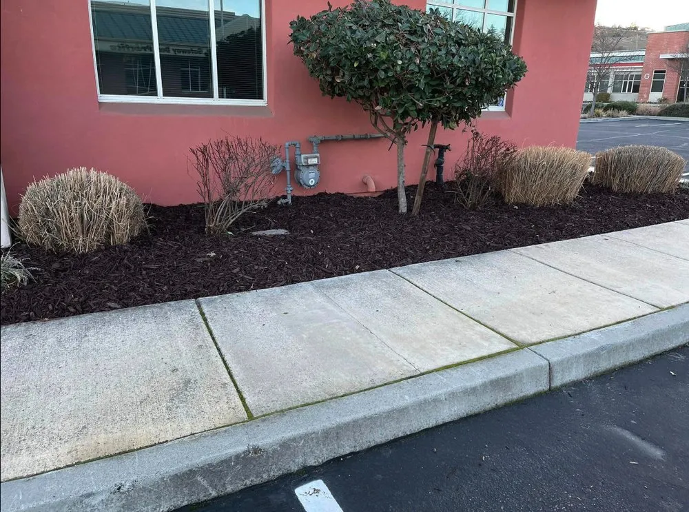 Local yard maintenance in Paso Robles, CA by Luis G Gardening