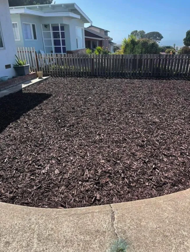 Trusted yard cleanup service experts serving Paso Robles, CA - Luis G Gardening