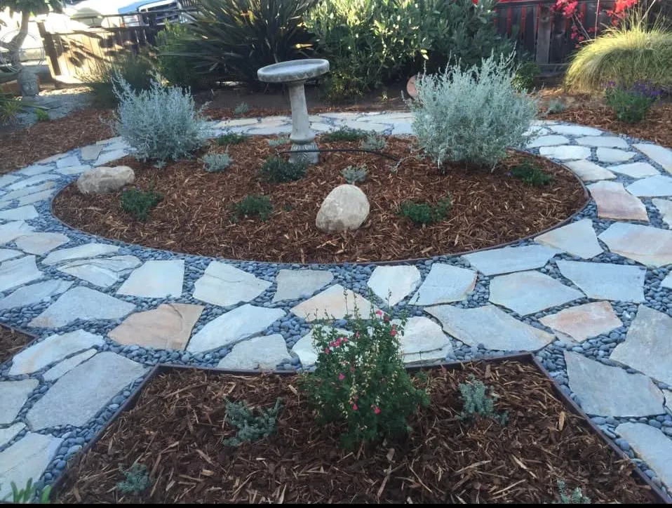 Expert yard cleanup service in Paso Robles, CA by Luis G Gardening