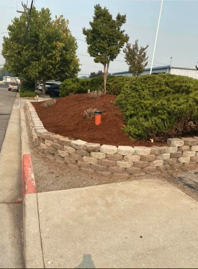 Expert yard maintenance experts serving Paso Robles, CA - Luis G Gardening