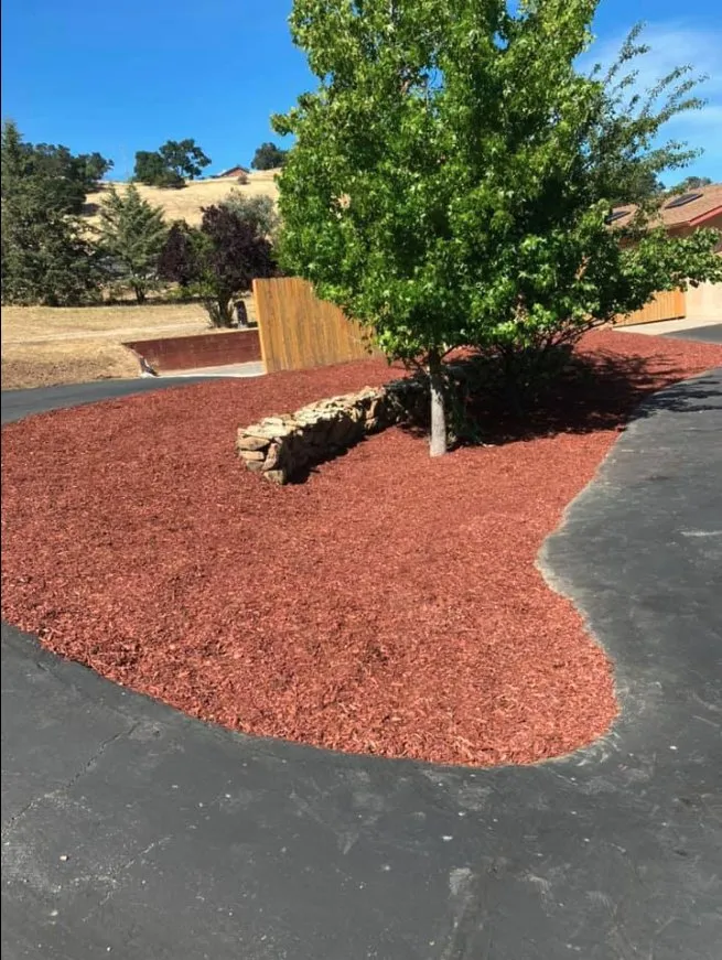 Professional landscape installation with custom design across Paso Robles, CA - Luis G Gardening