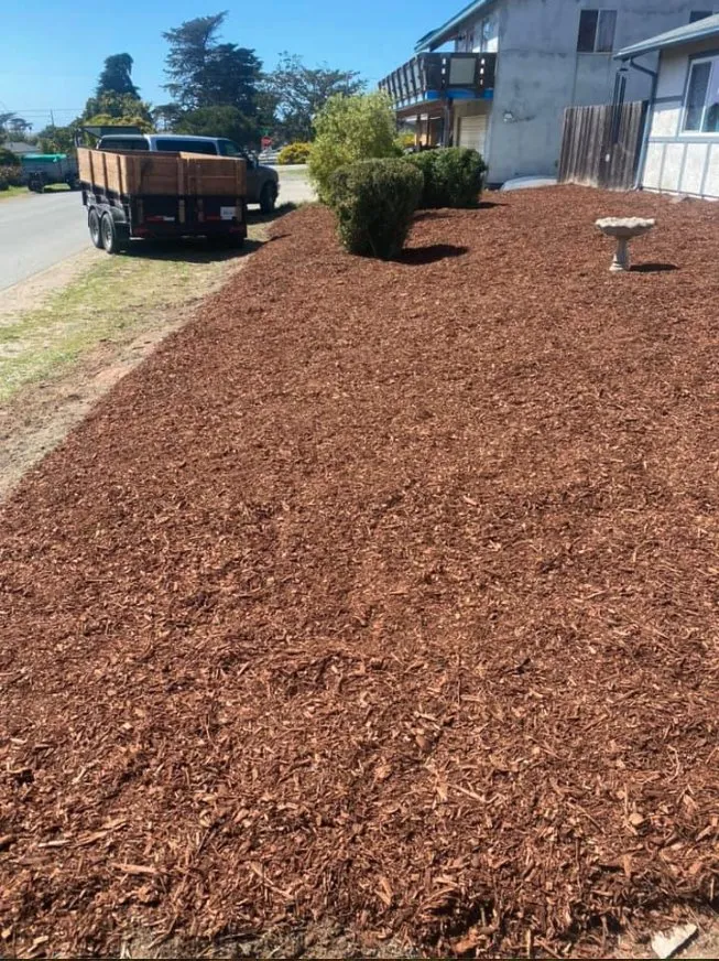 Trusted yard maintenance in Paso Robles, CA - Luis G Gardening