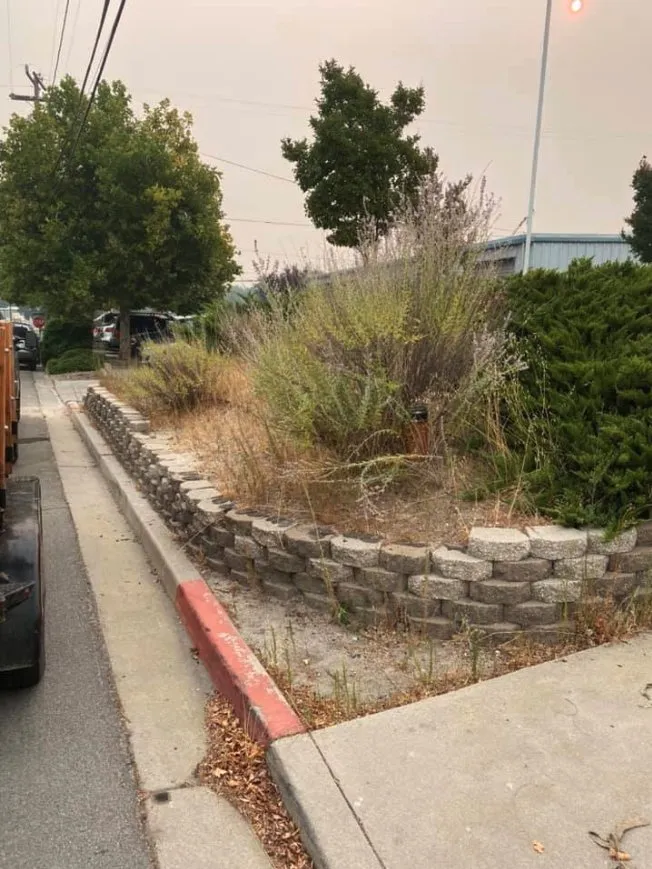 Custom lawn care service in Paso Robles, CA - Luis G Gardening