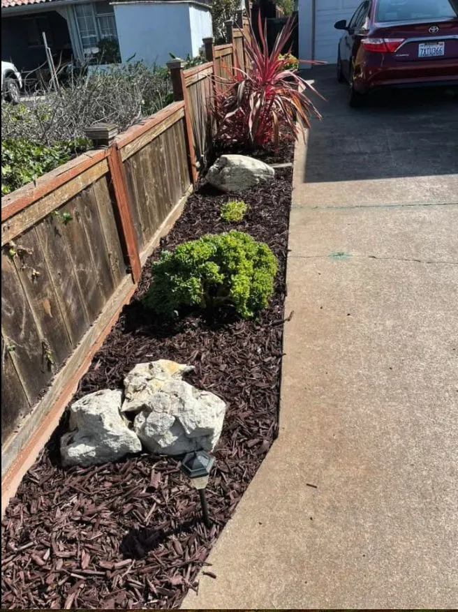 Affordable landscape installation in Paso Robles, CA - Luis G Gardening