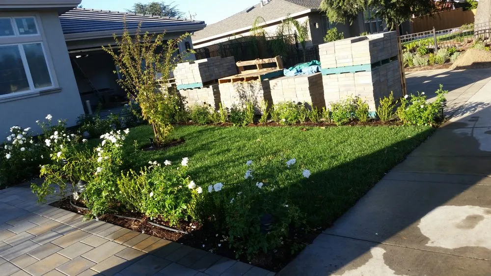 Affordable outdoor landscaping for homes in Redwood City, CA by Luis Gardening and Landscape