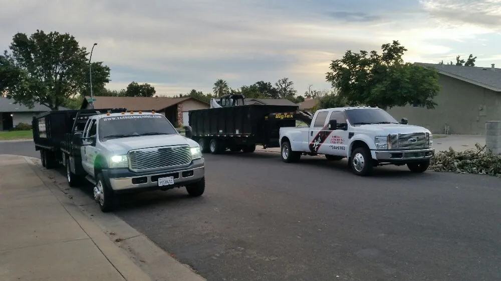 Reliable yard cleanup service in Modesto, CA - Luis Gardening