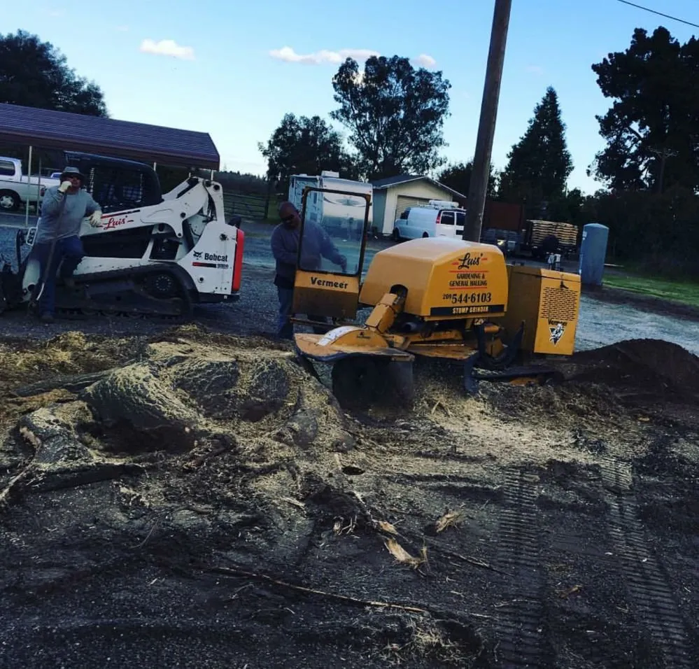 Reliable garden landscaping in Modesto, CA by Luis Gardening