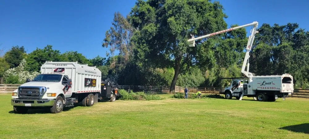 Local garden landscaping in Modesto, CA by Luis Gardening