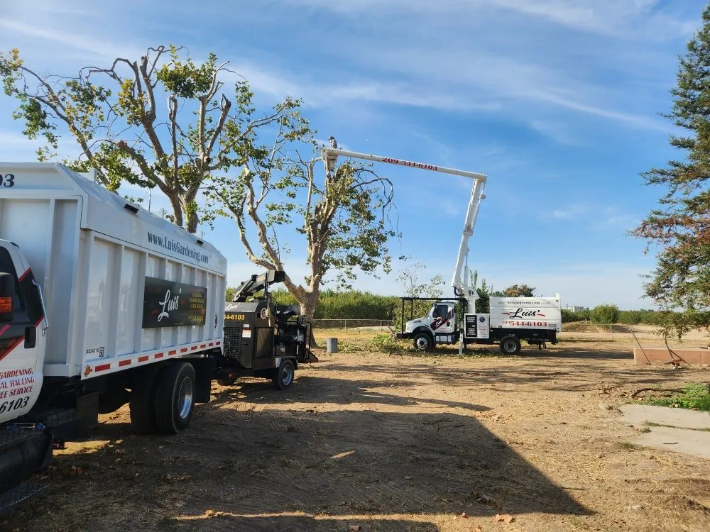 Custom outdoor landscaping for homes across Modesto, CA - Luis Gardening