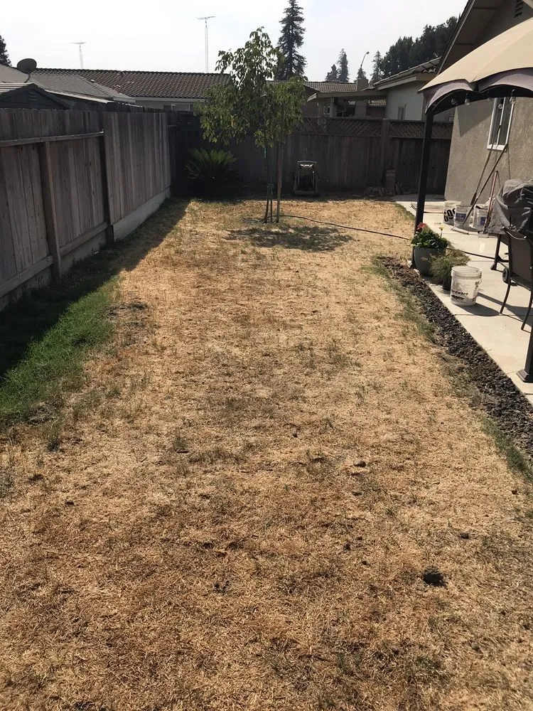 Affordable lawn care service in Modesto, CA by Luis Gardening