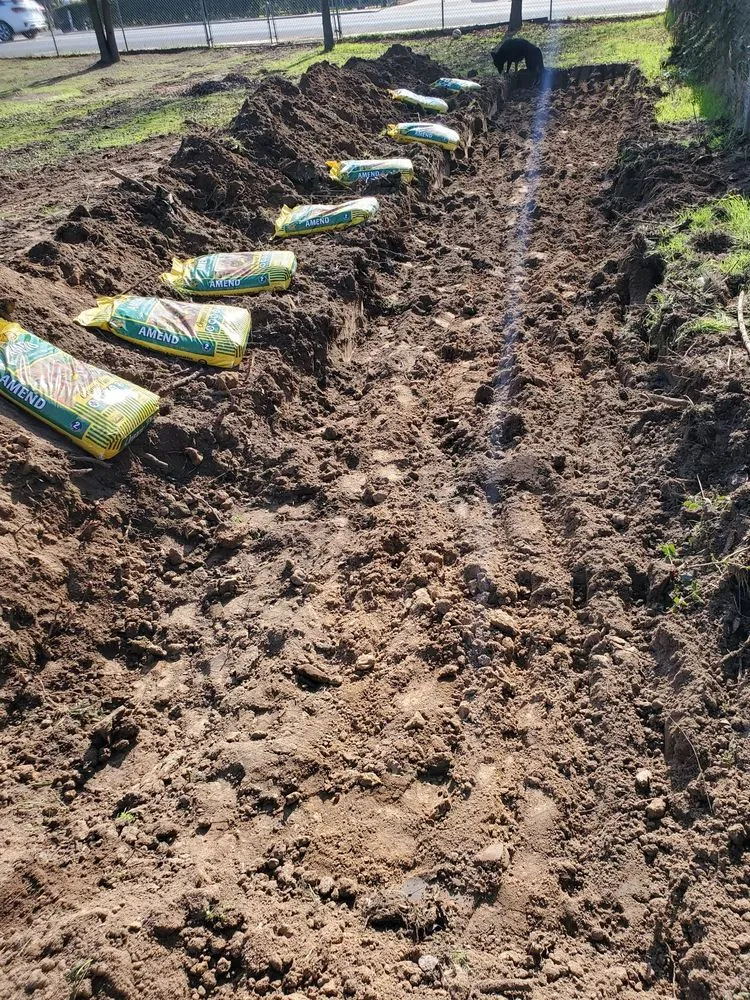 Reliable yard maintenance for beautiful yards across Modesto, CA - Luis Gardening