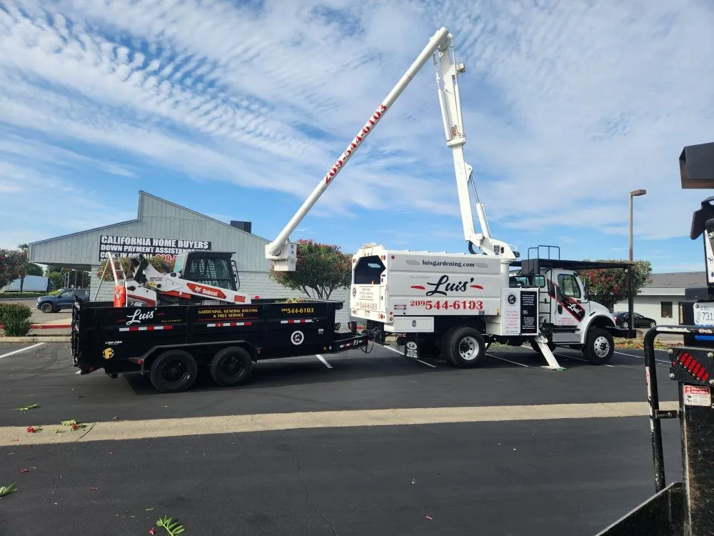 Affordable landscape design for residential properties in Modesto, CA by Luis Gardening