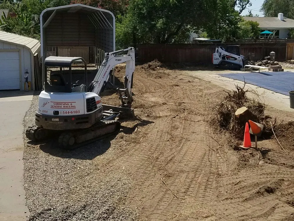 Reliable yard cleanup service for year-round maintenance across Modesto, CA - Luis Gardening