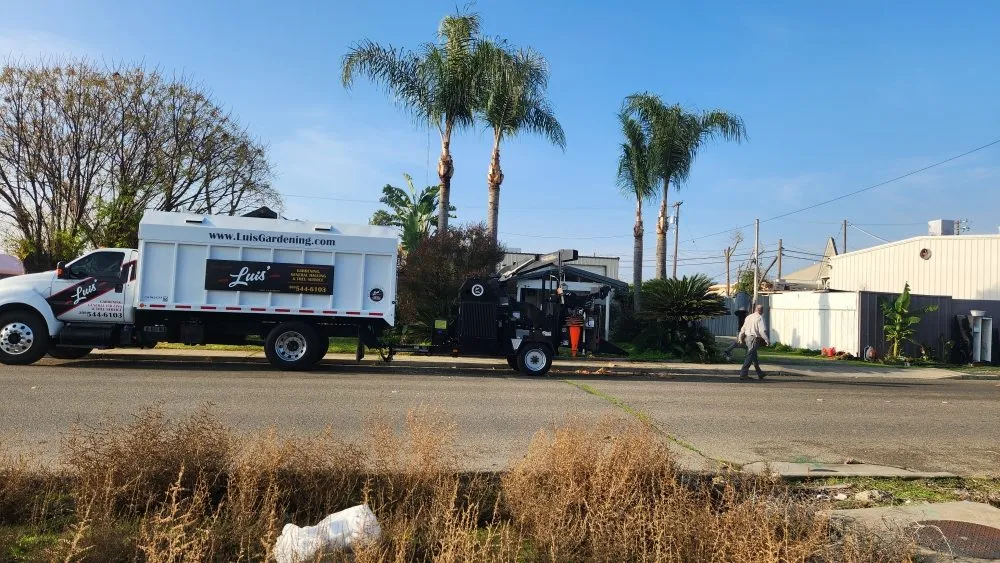 Expert yard cleanup service in Modesto, CA by Luis Gardening