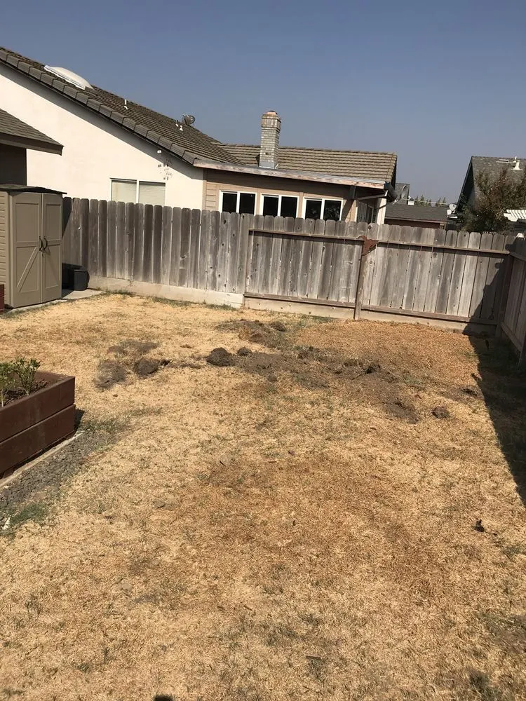 Custom landscape design experts serving Modesto, CA - Luis Gardening