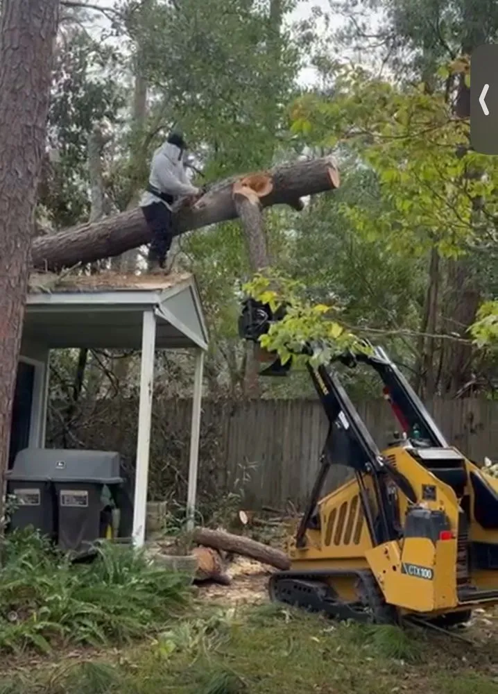 Local landscaping services for beautiful yards in Miami, FL by Luis Hernandez Landscaping